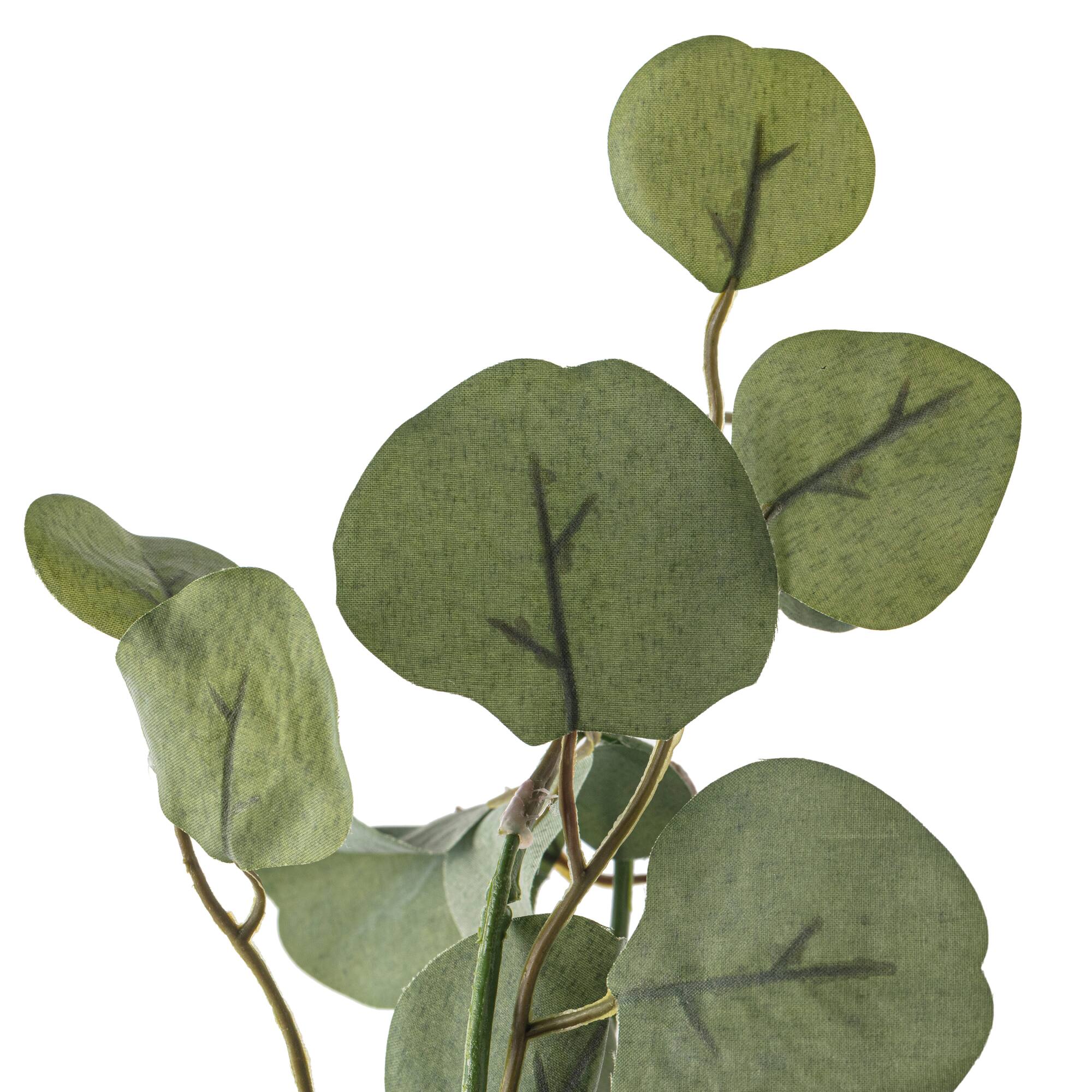 6ft. Eucalyptus Garland by Ashland®